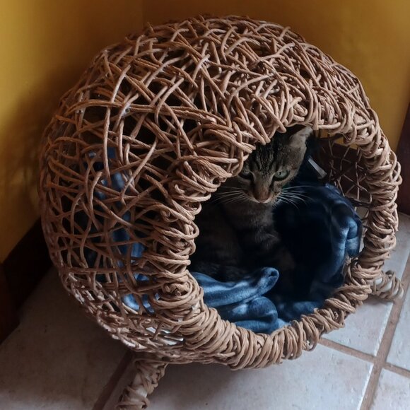 Homemade FiberRush Cat/Dog Bed small/med - Picture 5 of 16